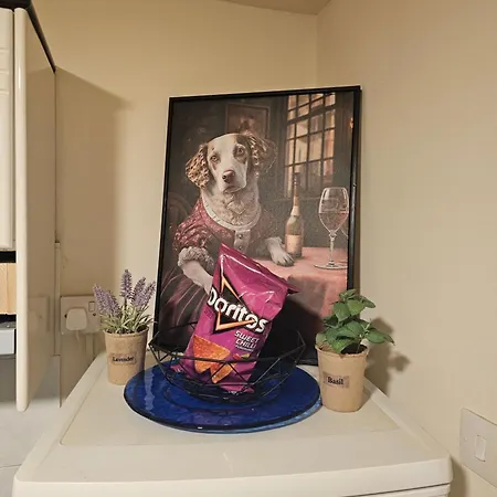 Stefaris Koutsou Court 105 Larnaca